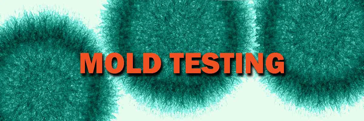 Mold Testing Services 1 Mold Testing Inspection