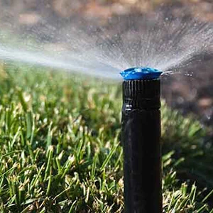sprinkler inspection service
