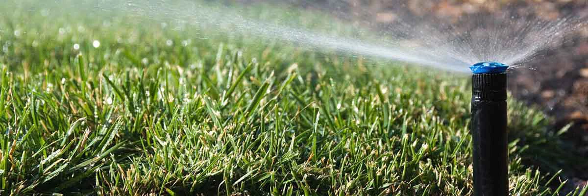 Sprinkler & Irrigation Inspection